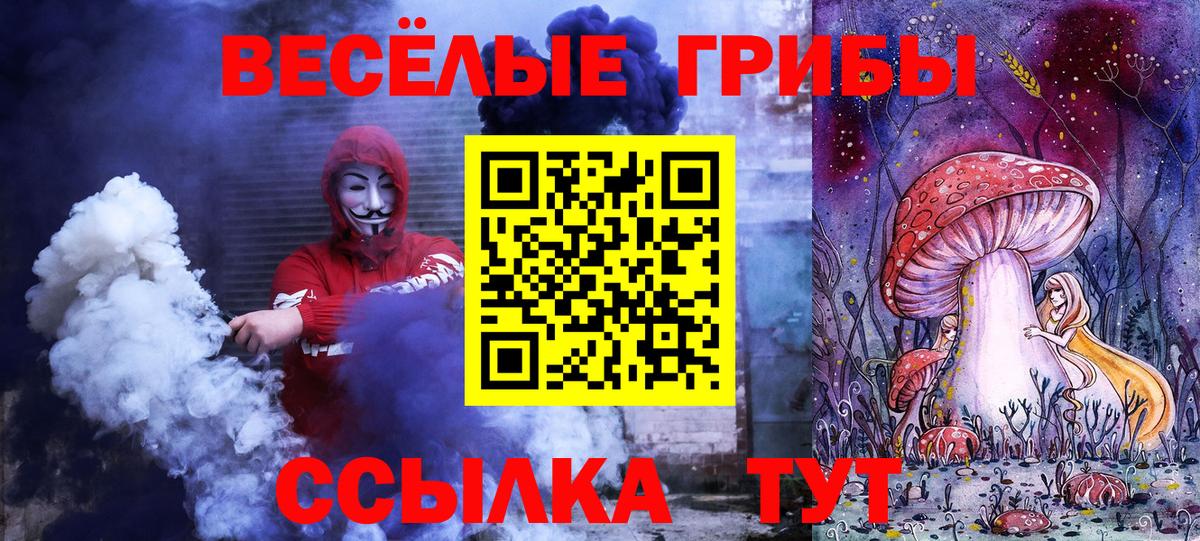 Вязьма  Галлюциногенные грибы прущие грибы  Вход с VPN 